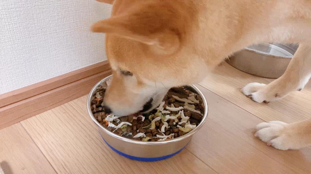 主食です