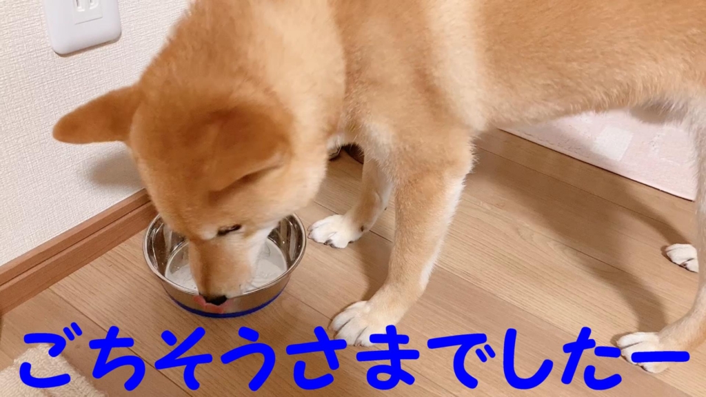 完食