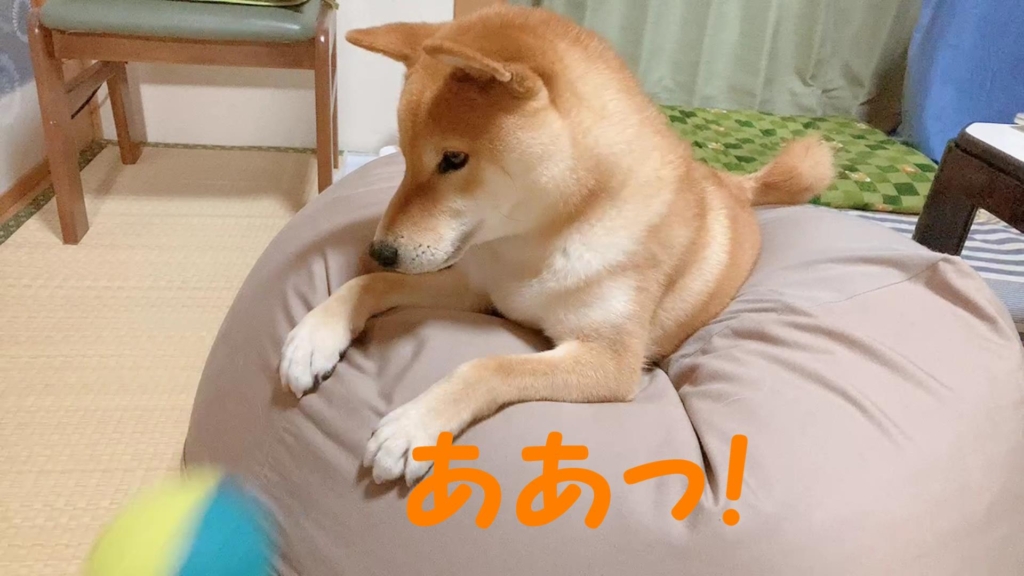 ふたたびボールが落ちる